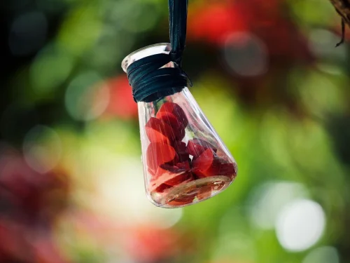 Rüyada Ağaca Yazı Yazmak: Ruhunuzun Gizli Mesajları