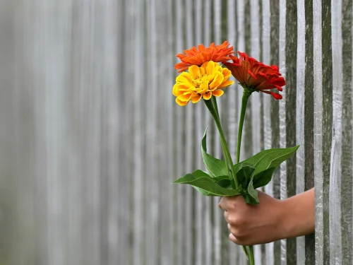 Rüyada Gelin Hazırlığı: Hayatının Yeni Dönemine Sürükleyici Yolculuk