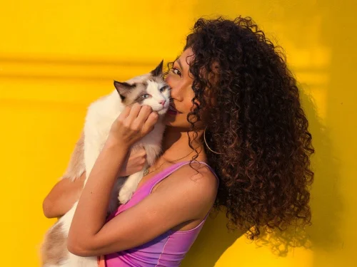 Rüyada Boş Tabak Vermek: Beklenti mi, Boşluk mu?