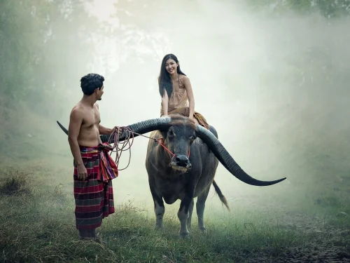 Rüyada Çarşaf Takımı Almak: Yeni Başlangıçlar ve Huzur
