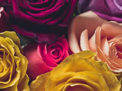 Rüyada Yeşil Zeytinli Ekmek: Bereketin Gizemi!