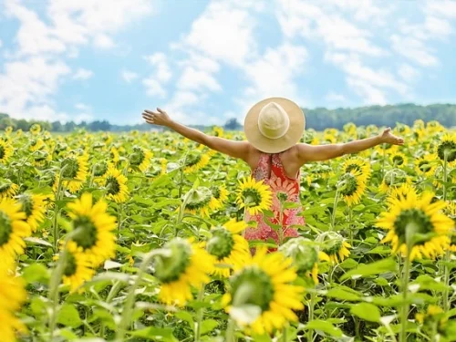 Rüyada Maket Almak: Hayatınızın Mimarı Olun