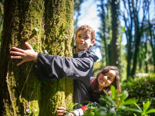 Bilgelik Eşiği: Rüyada Okul Kapısından Geçmek