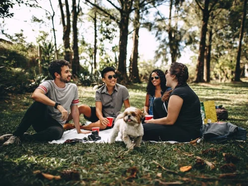 Rüyanızdaki Otopark: Hayatınızın Durakları ve Yönleri