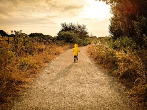 Radyo Programı Rüyanız: Duygularınızın Yankısı