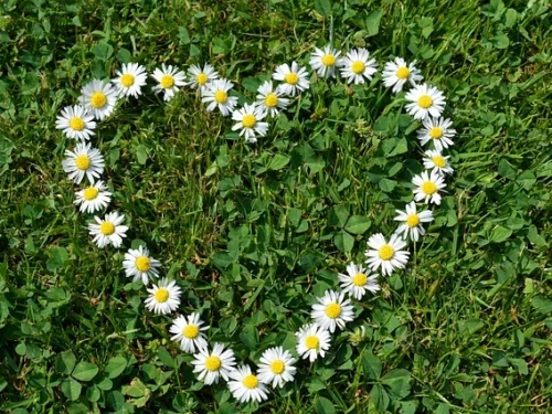 Rüyada Suda Pırlanta Toplamak: Gizli Hazineleriniz Sizi Bekliyor