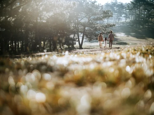 Rüyada Yurttan Ayrılmak: Yeni Bir Sayfa Açılıyor